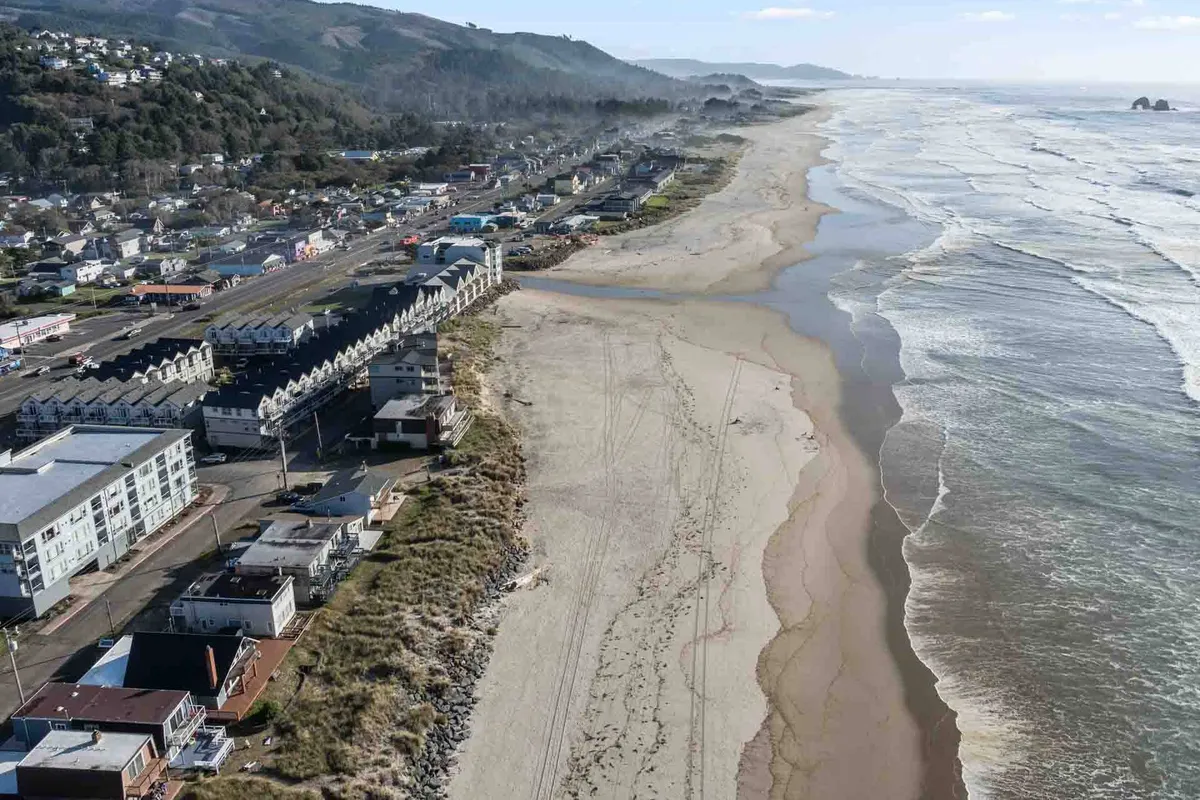 A panoramic view of a classic coastal town set along the beachfront, with ocean waves in the foreground and rolling hills in the background. The scene is lively yet relaxed, alluding to the variety of outdoor activities (like beach walking and exploring town) that guests and pets can enjoy together.